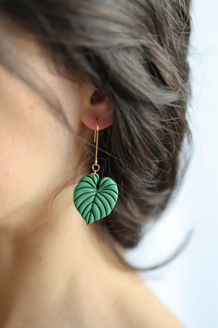 Philodendron Gloriosum Dangles
