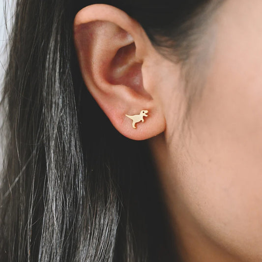 Dainty Dinosaur Studs